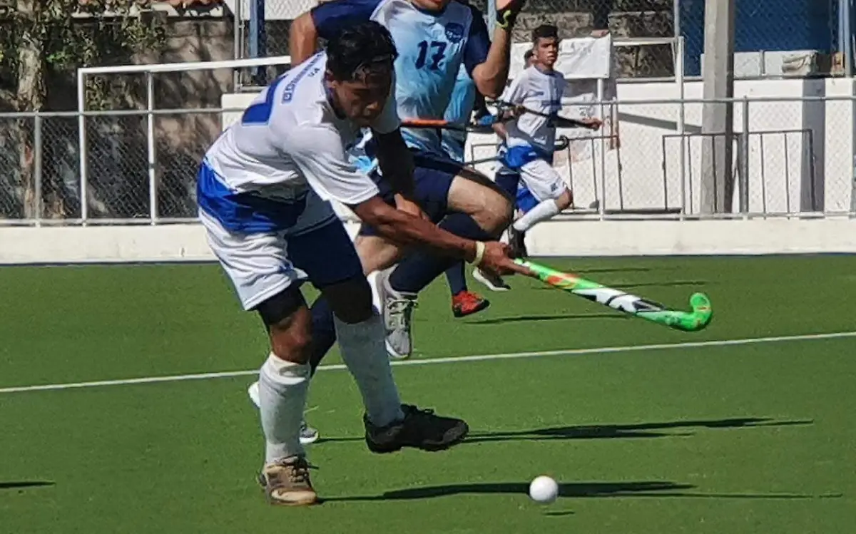 Hockey sobre pasto.