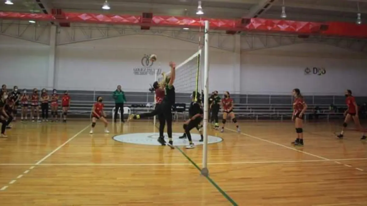 Voleibol