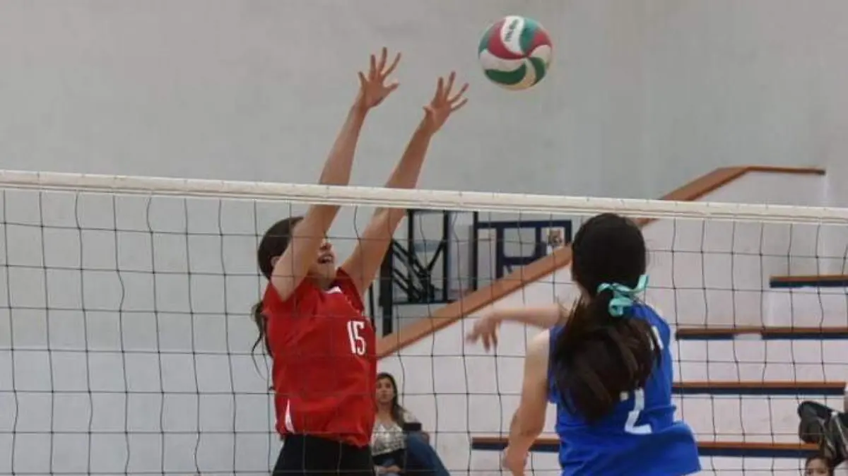 voleibol