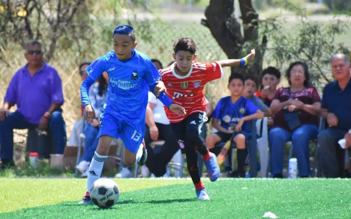 Dikcava campeón de la categoría 2013 2014