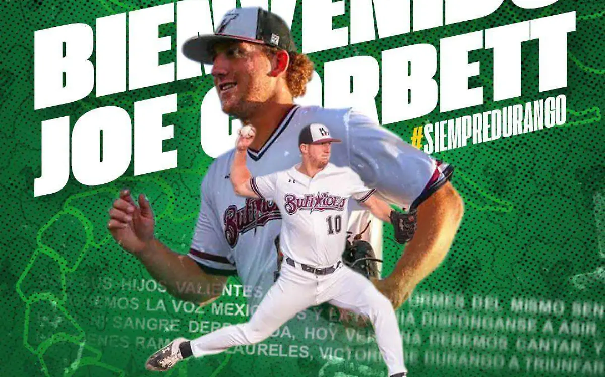 WhatsApp Image 2023-08-01 at 15.12.39