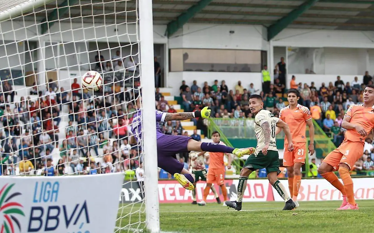 WhatsApp Image 2023-03-31 at 13.33.24