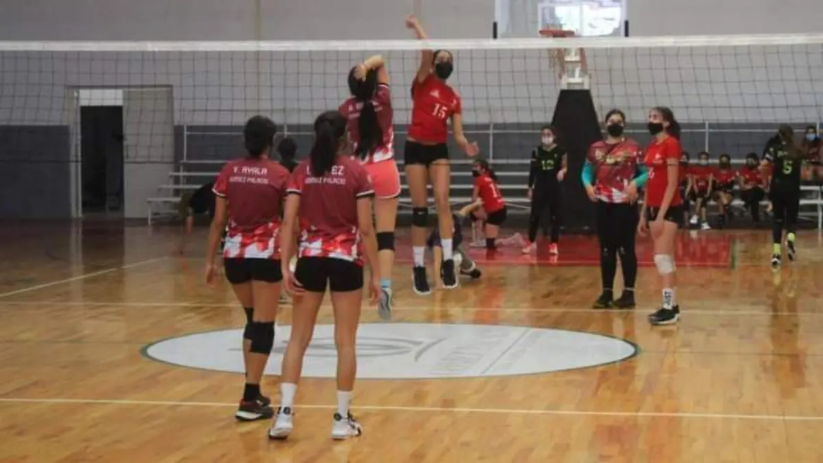 Voleibol