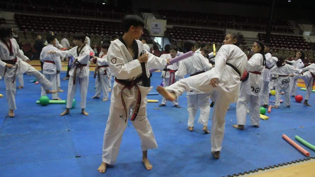 Detector de talentos duranguenses en tae kwon do