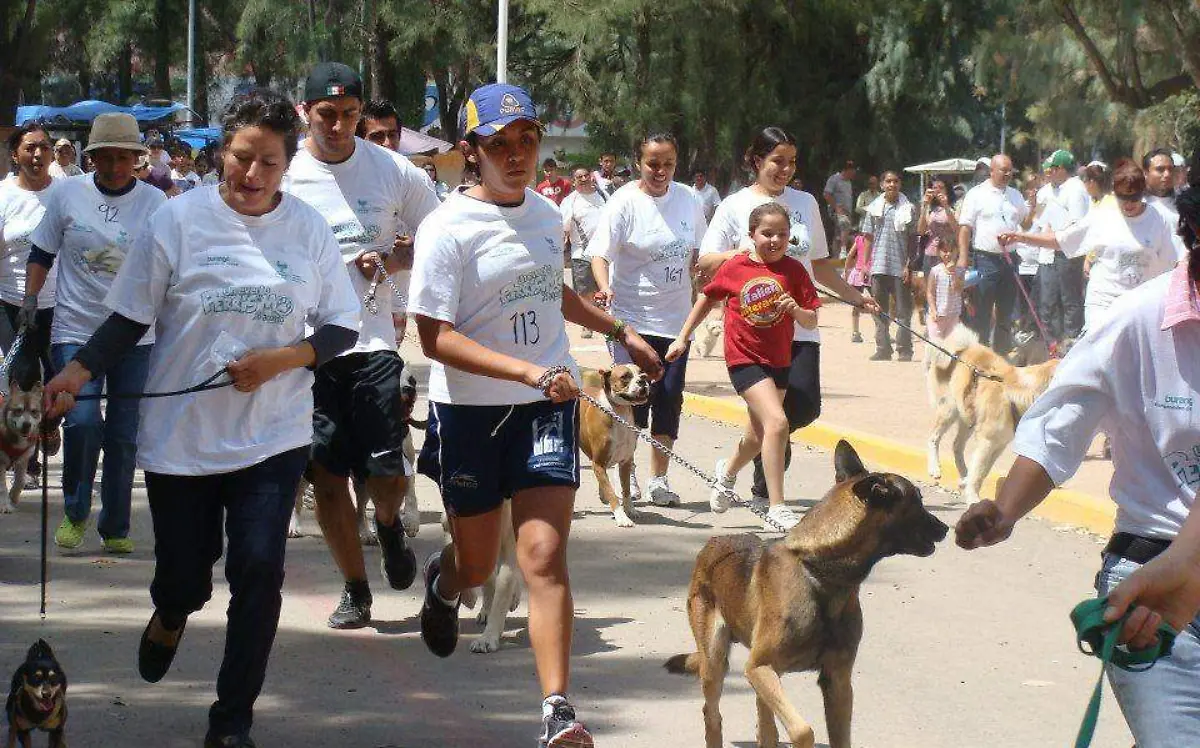 WhatsApp Image 2022-02-24 at 13.02.11