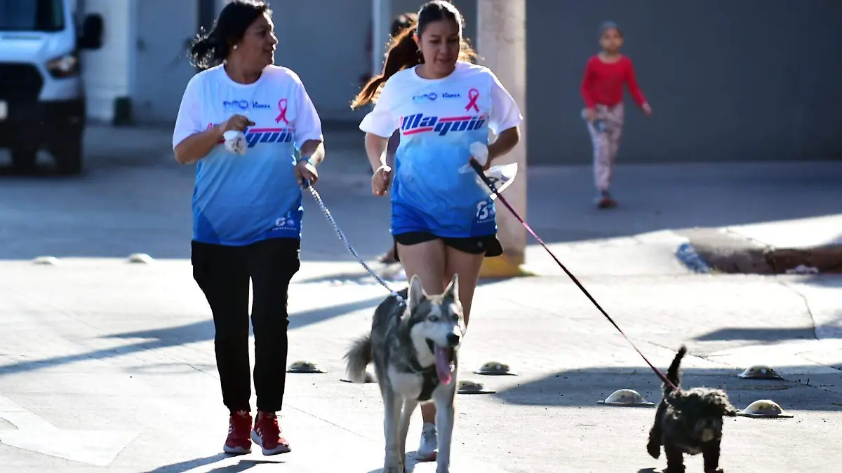 A correr 30K sobre los Ahuehuetes