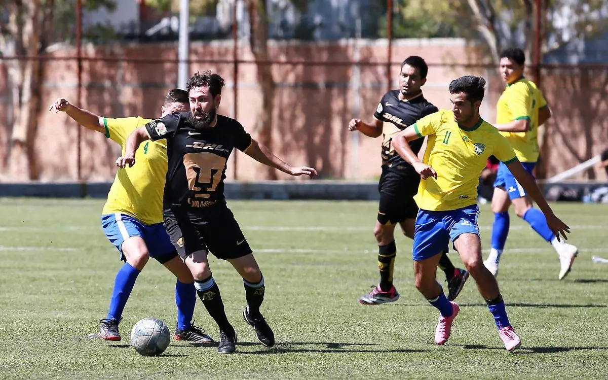 WhatsApp Image 2023-09-13 at 13.17.50 (1)