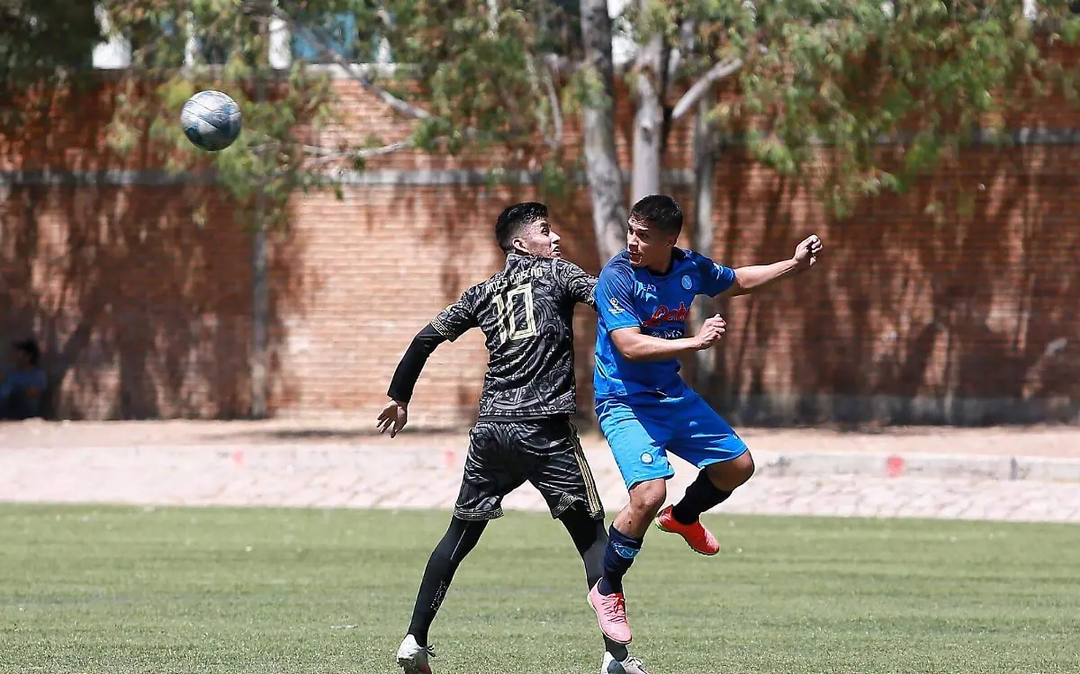 WhatsApp Image 2023-06-20 at 2.43.41 PM