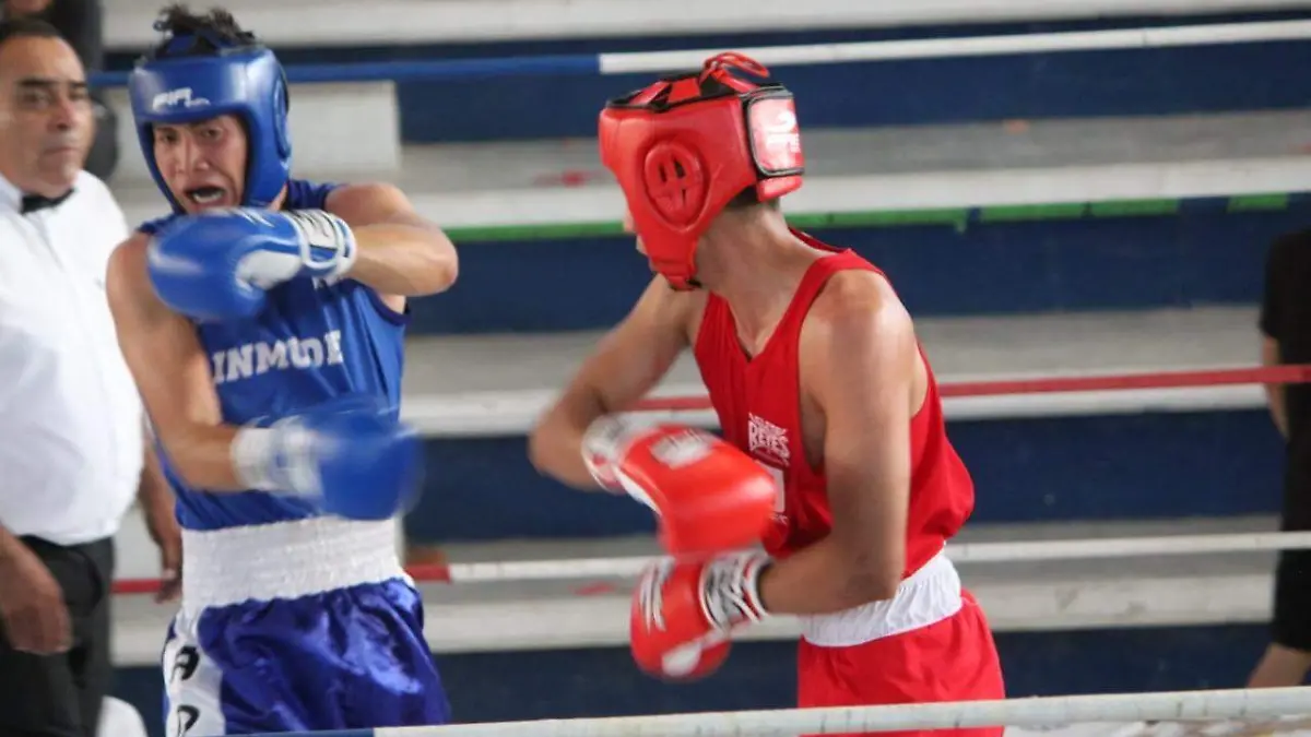 Boxeo 