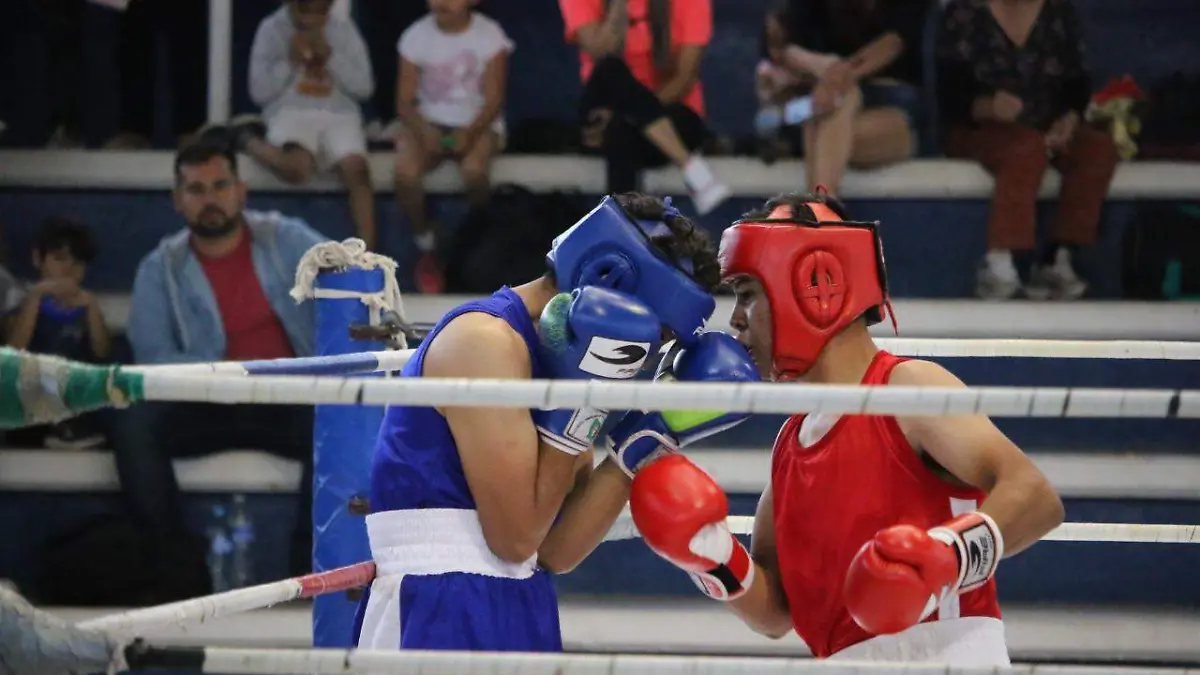 22 combates en función de fogueo de box