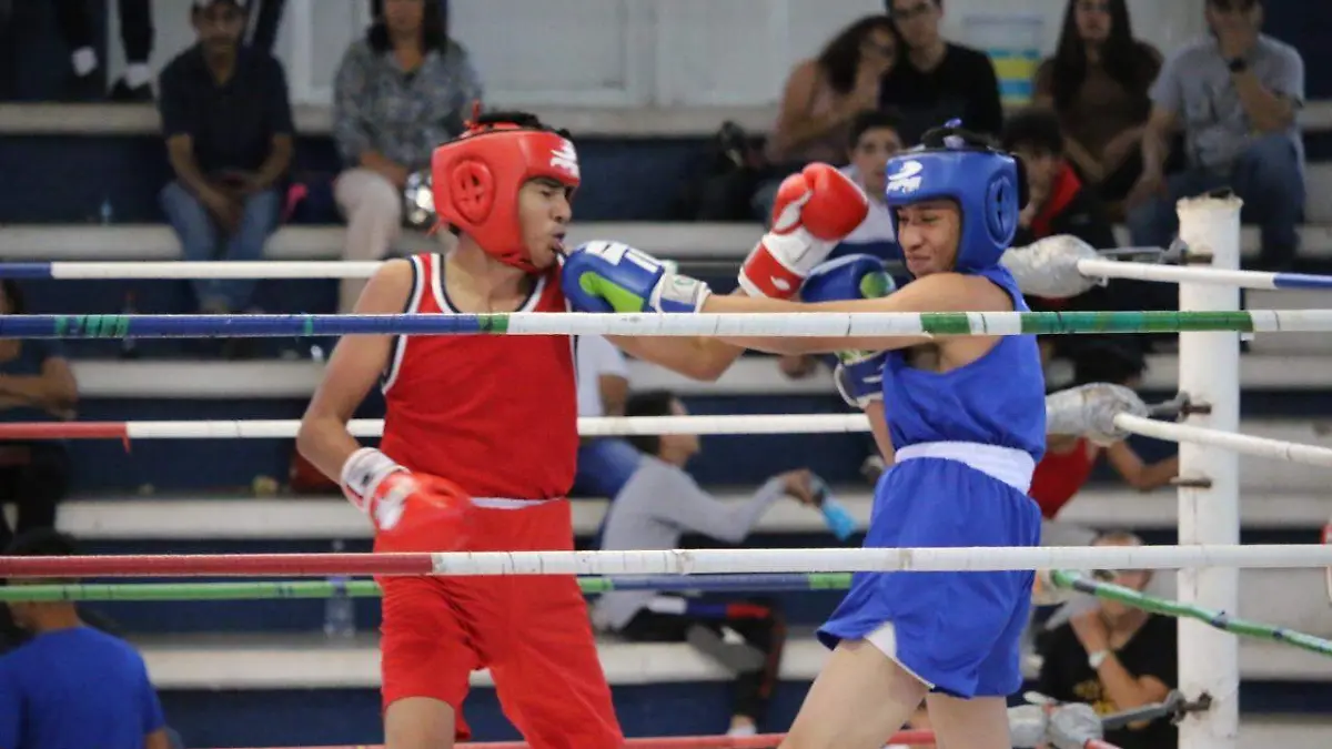22 combates en función de fogueo de box