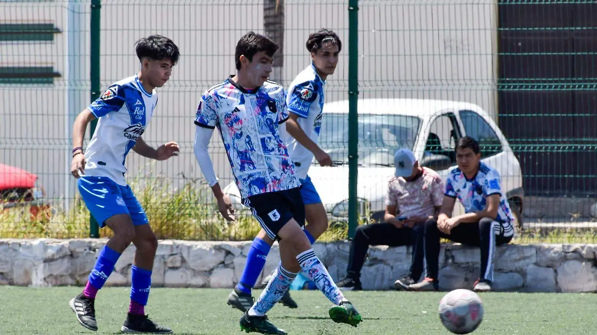Liga de Futbol Guadalupe Victoria en la categoría Premier