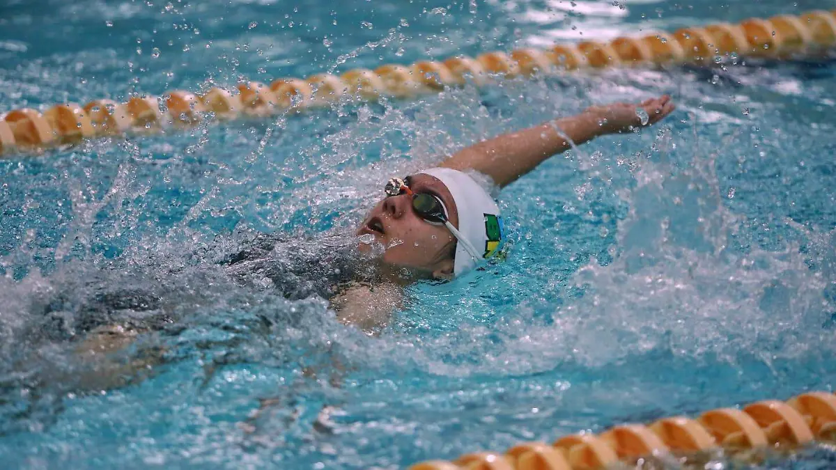 Tiburones arrasó en la Copa Otoño