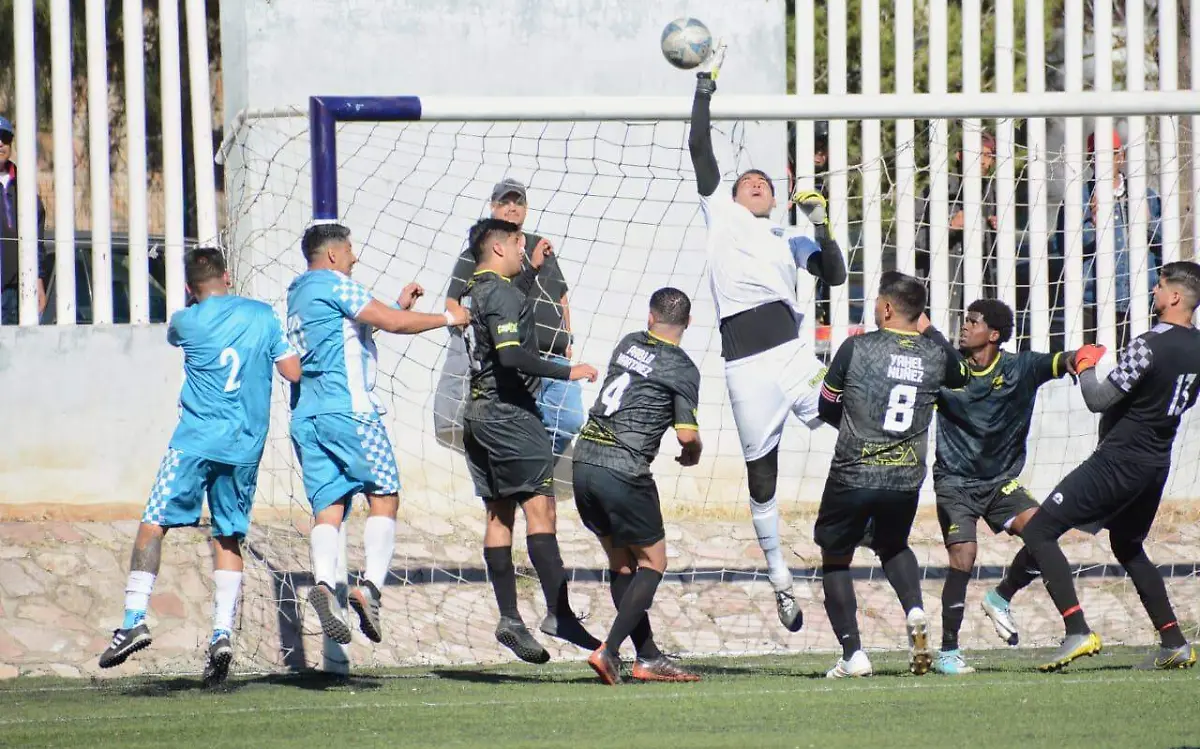 WhatsApp Image 2023-01-18 at 15.01.24