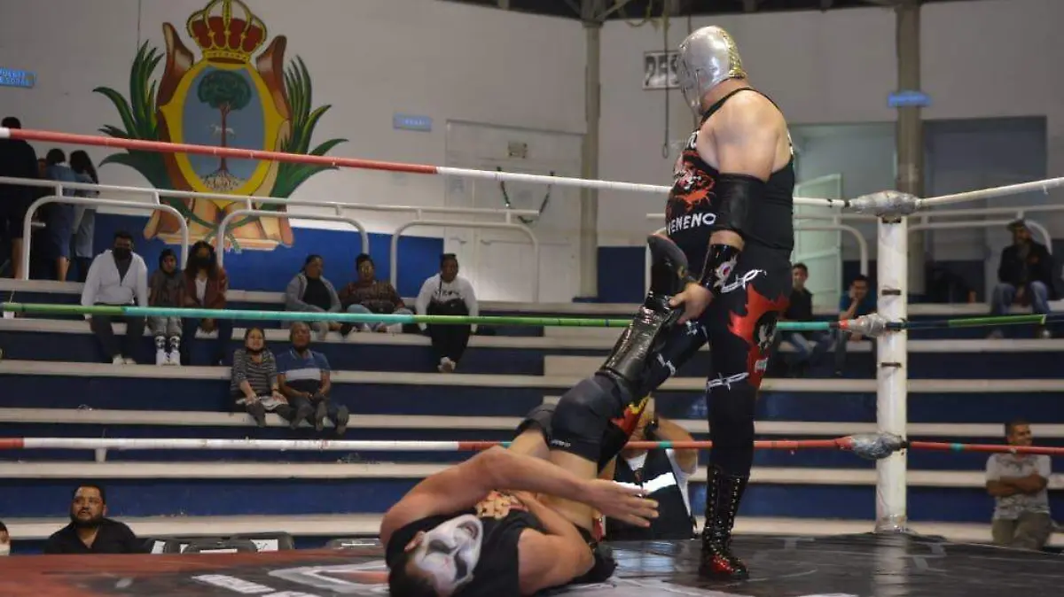 Lucha libre