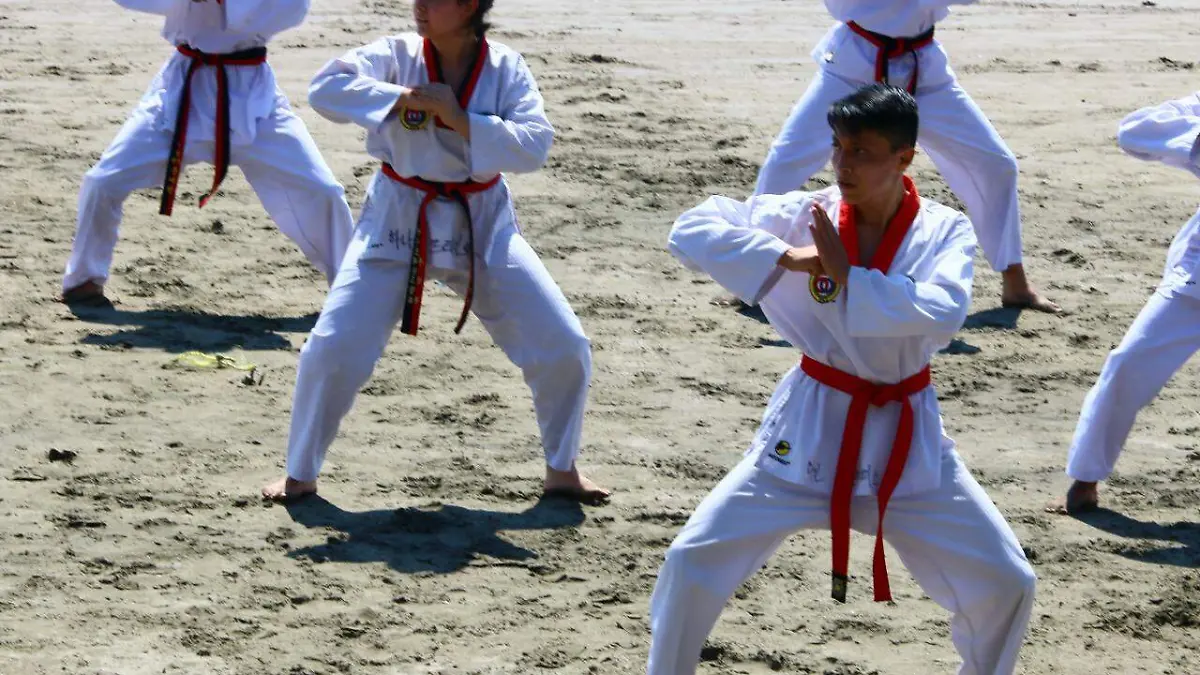 Moo Duk Kwan