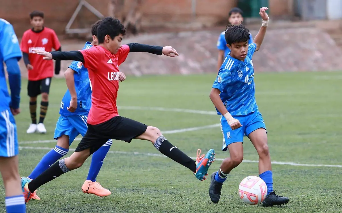  Liga Premier Norte dentro de la categoría Sub 14