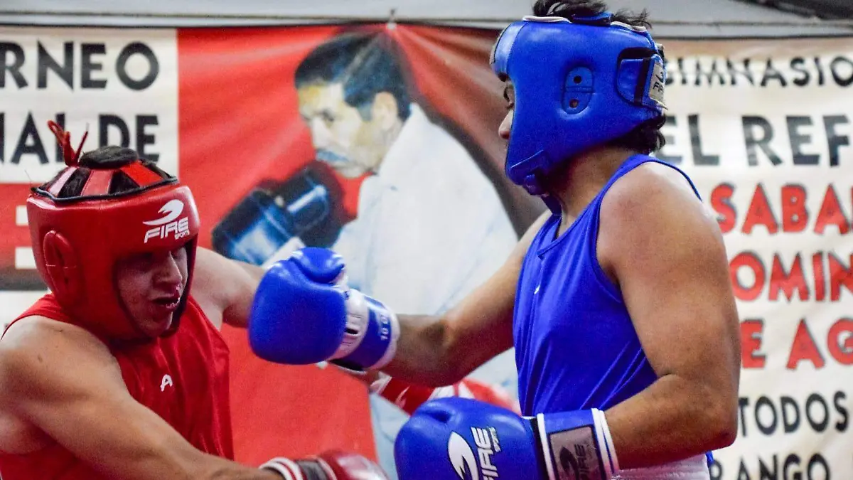 A tirar golpes en el Palacio de los Combates