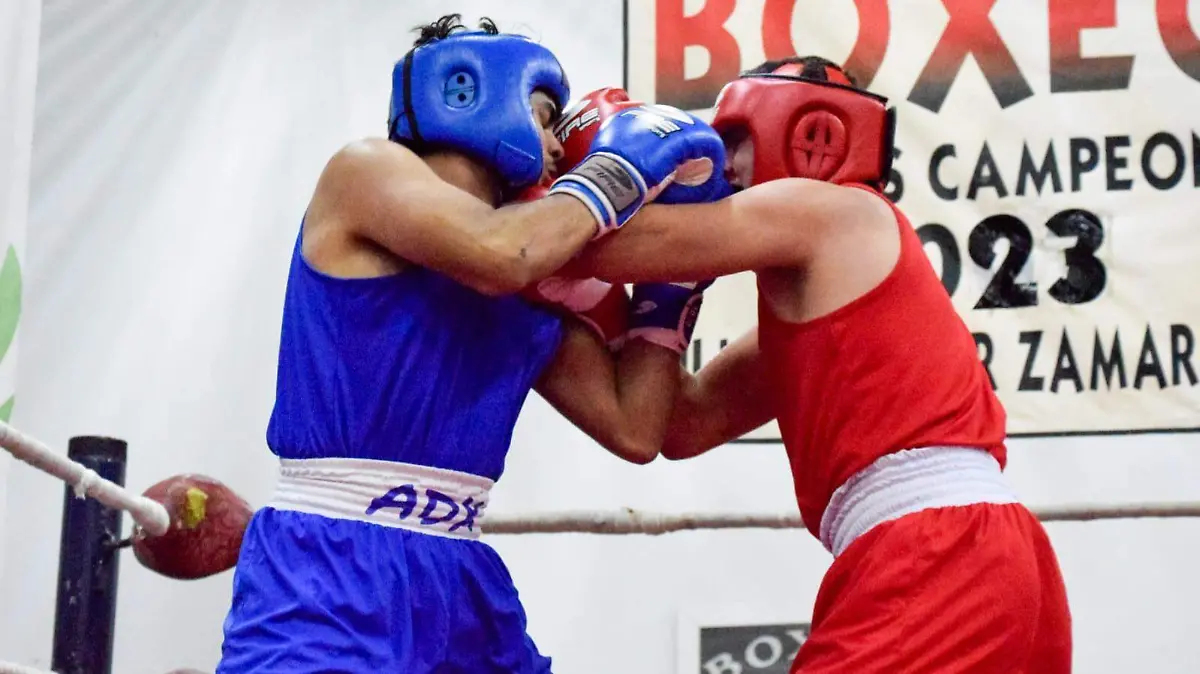 A tirar golpes en el Palacio de los Combates