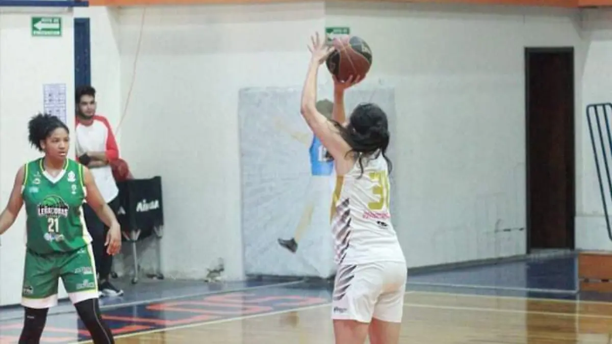 Leñadoras de Durango