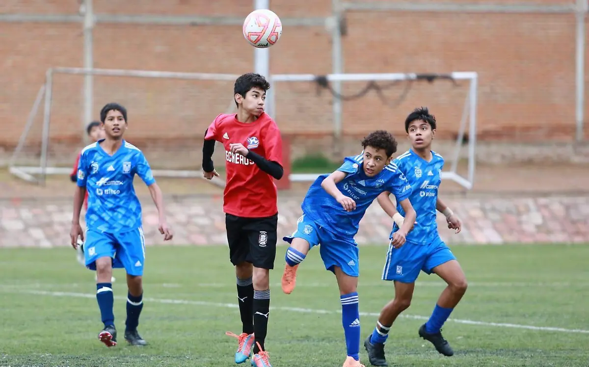 WhatsApp Image 2023-10-13 at 11.37.41