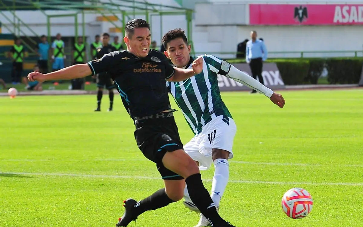 Alacranes de Durango