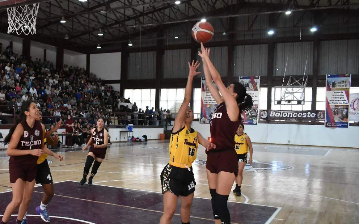 WhatsApp Image 2023-10-18 at 15.51.34