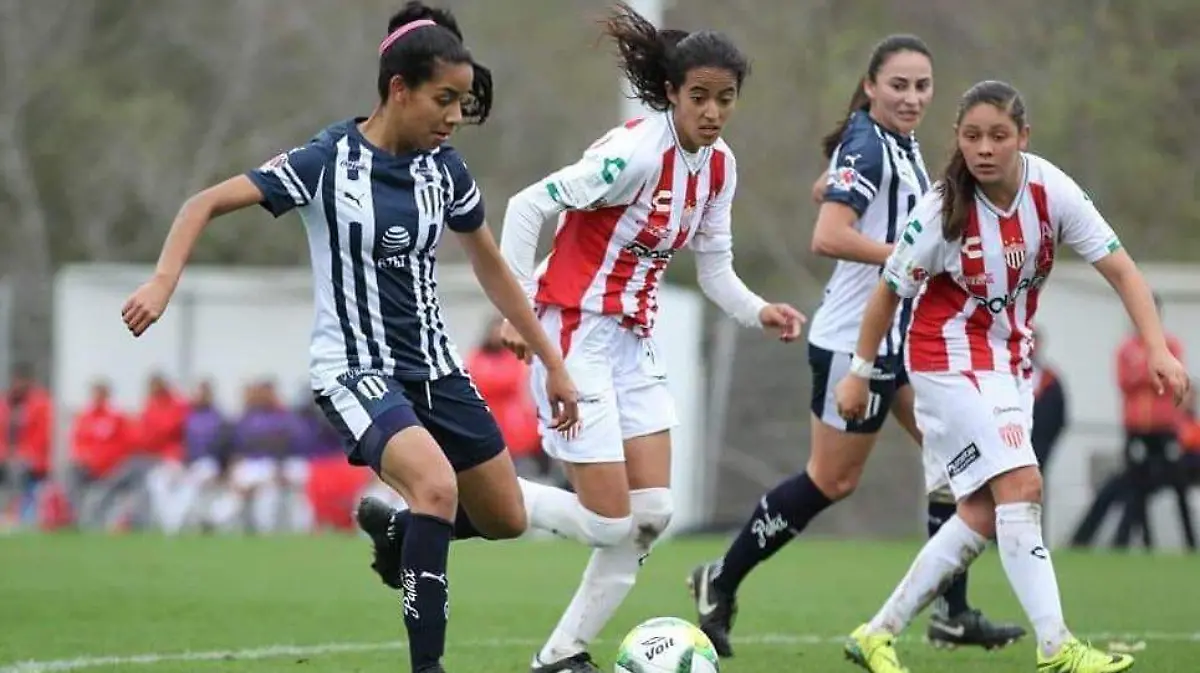 WhatsApp Image 2019-01-15 at 09.53.04