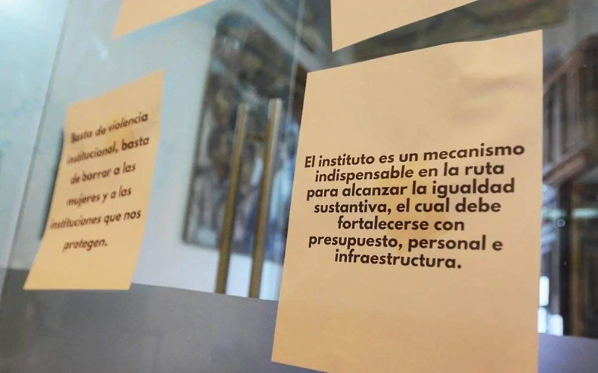 Fusionar el IMM viola derechos de mujeres: Conavim