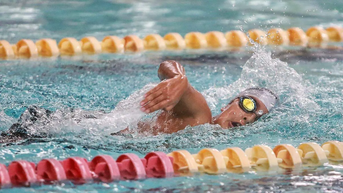 Tiburones arrasó en la Copa Otoño