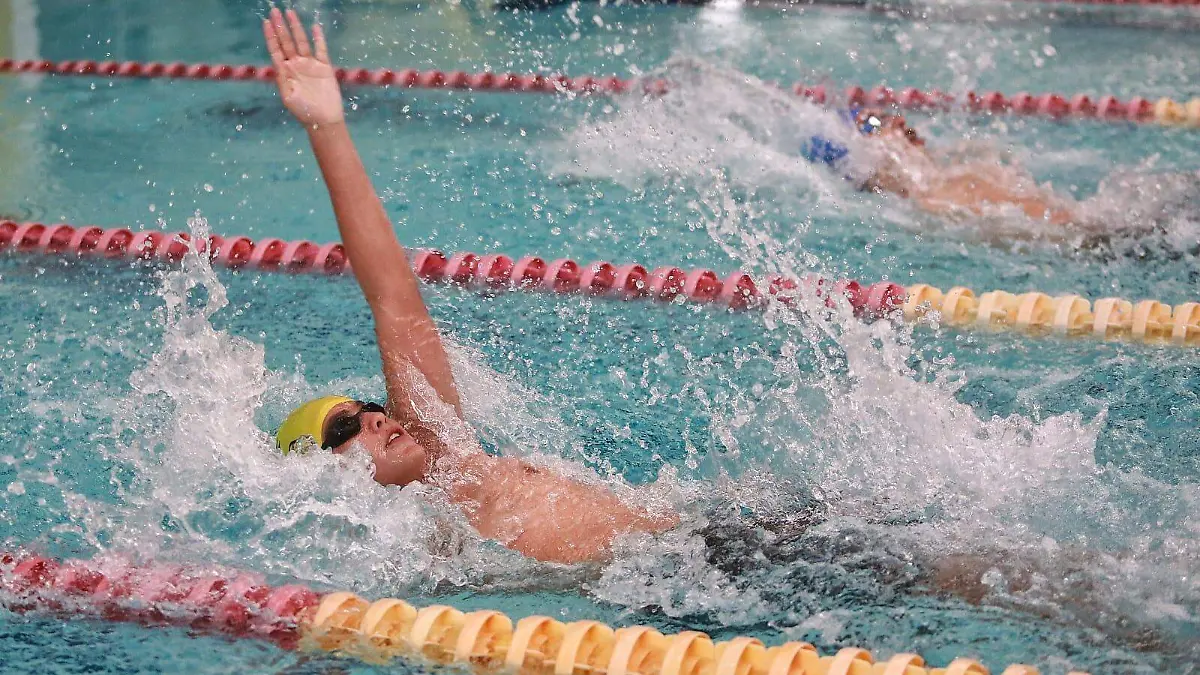 Tiburones arrasó en la Copa Otoño