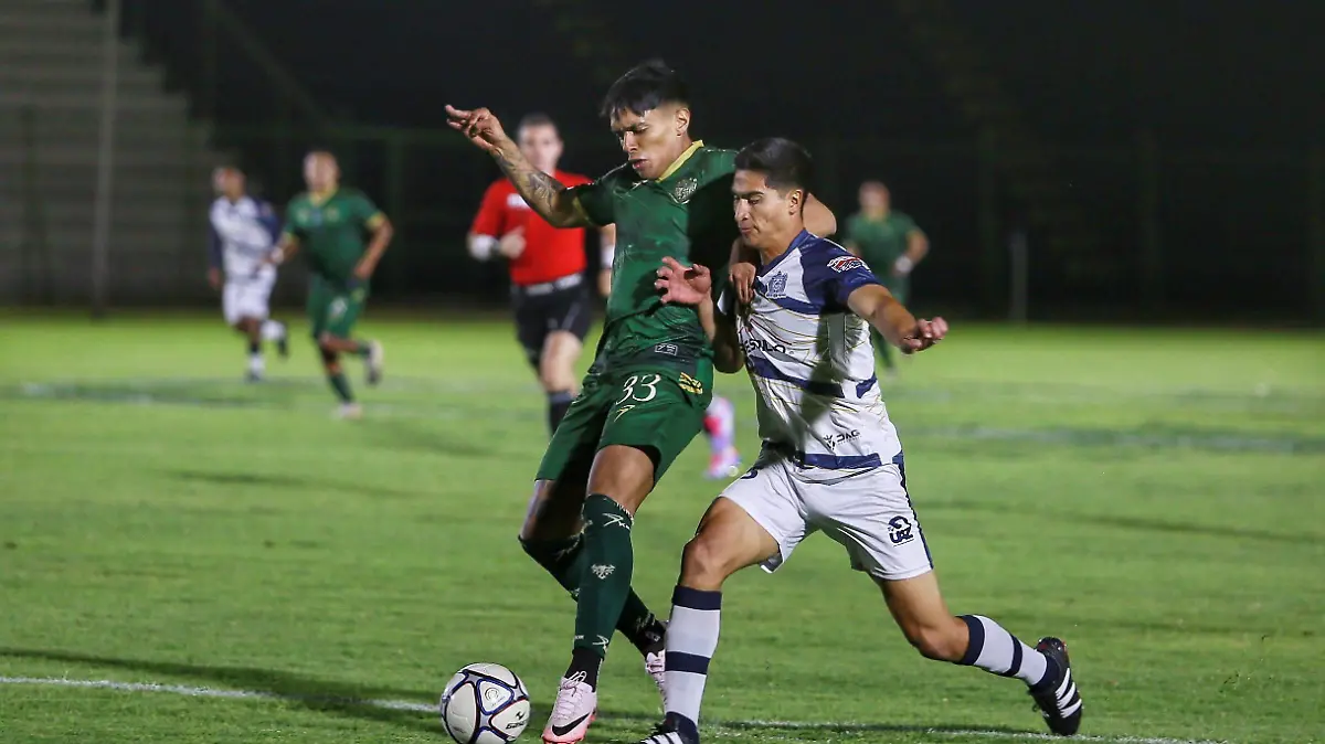 Alacranes de durango  