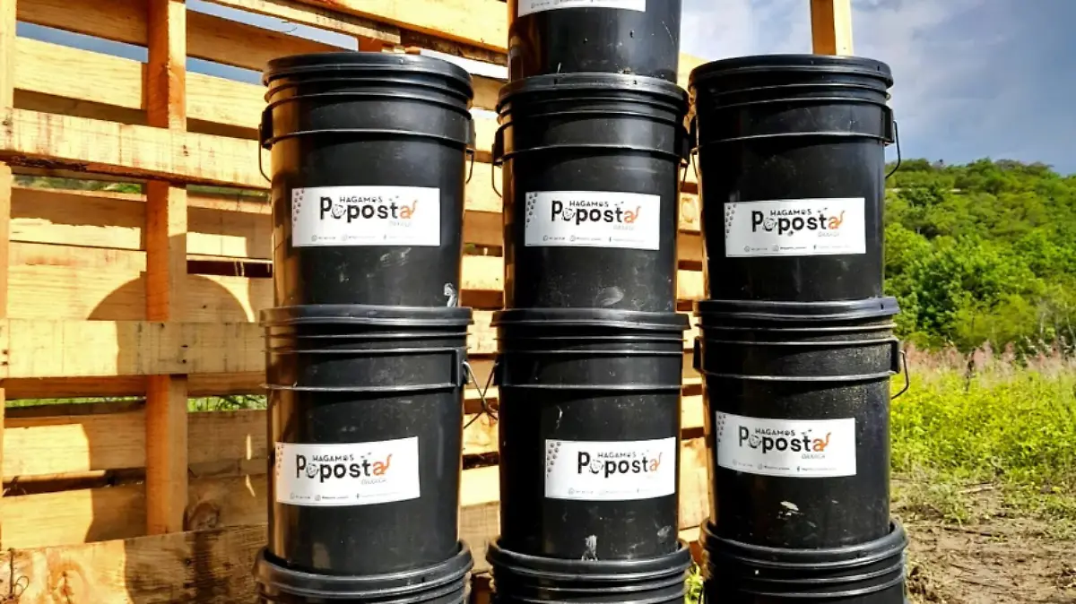 ¿Cómo aprovechar las heces de tu mascota?