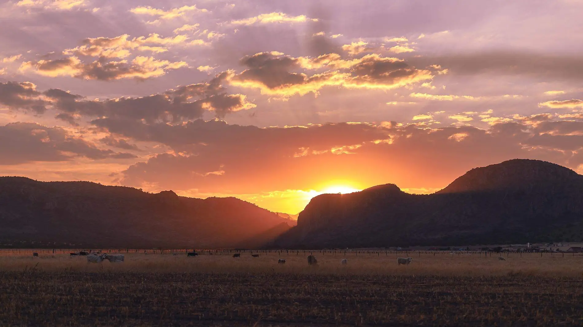 ¿Por qué se dice que Durango tiene el mejor cielo de México?