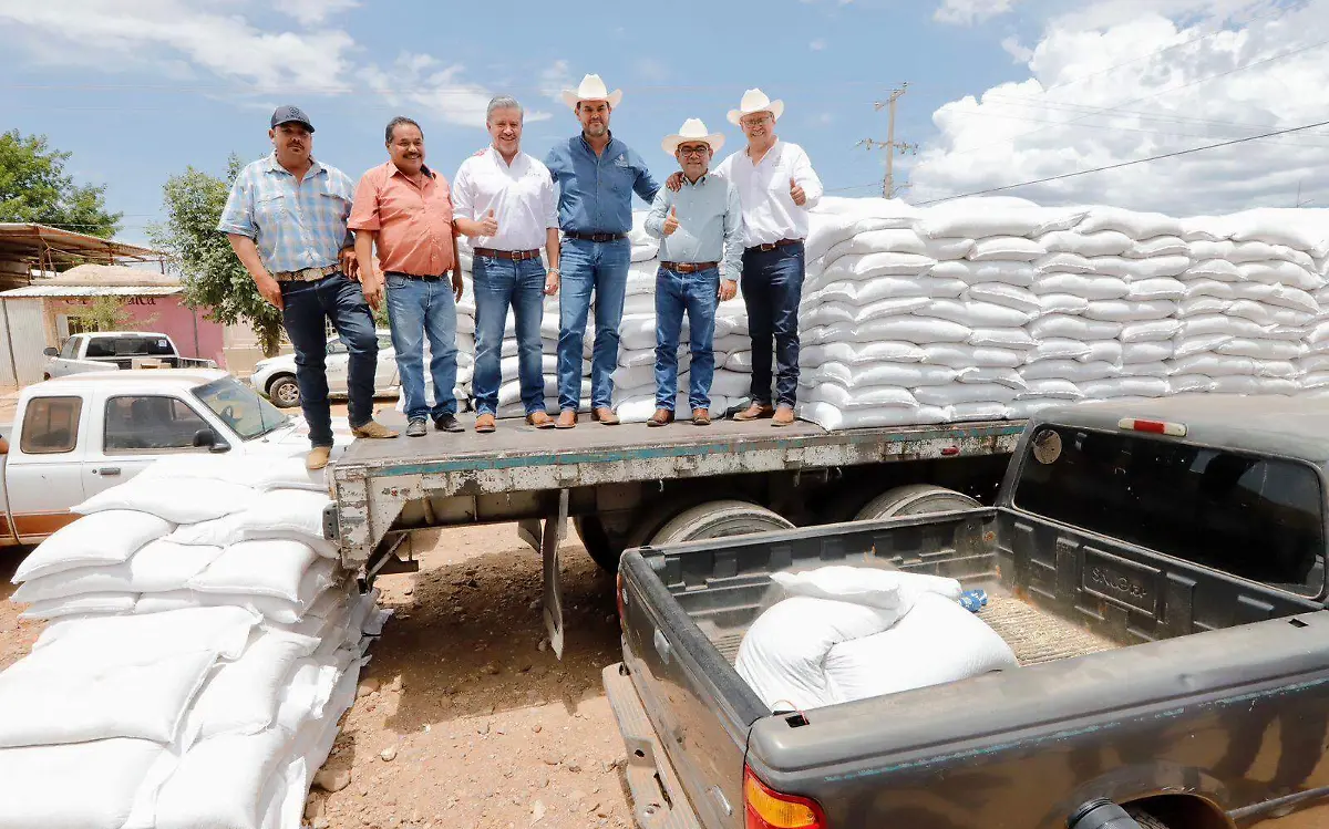 WhatsApp Image 2023-08-10 at 12.56.36