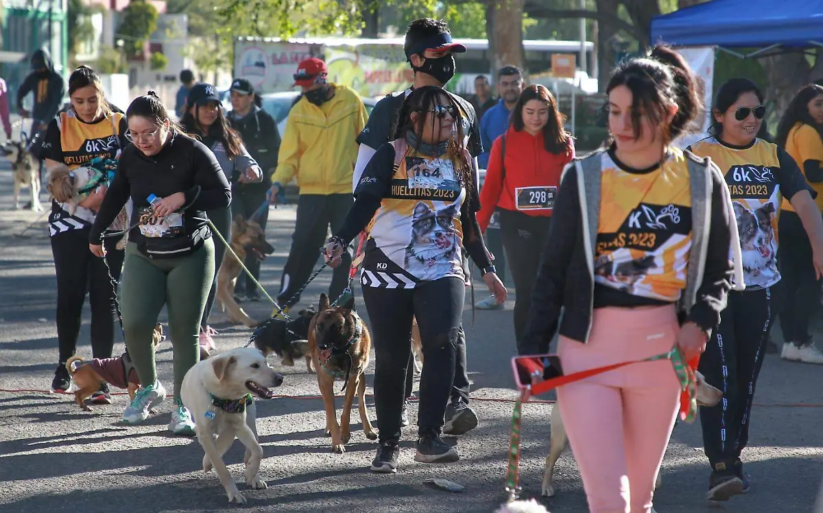 ¡Que perrón! Diva gana la 6K Huellitas en Durango