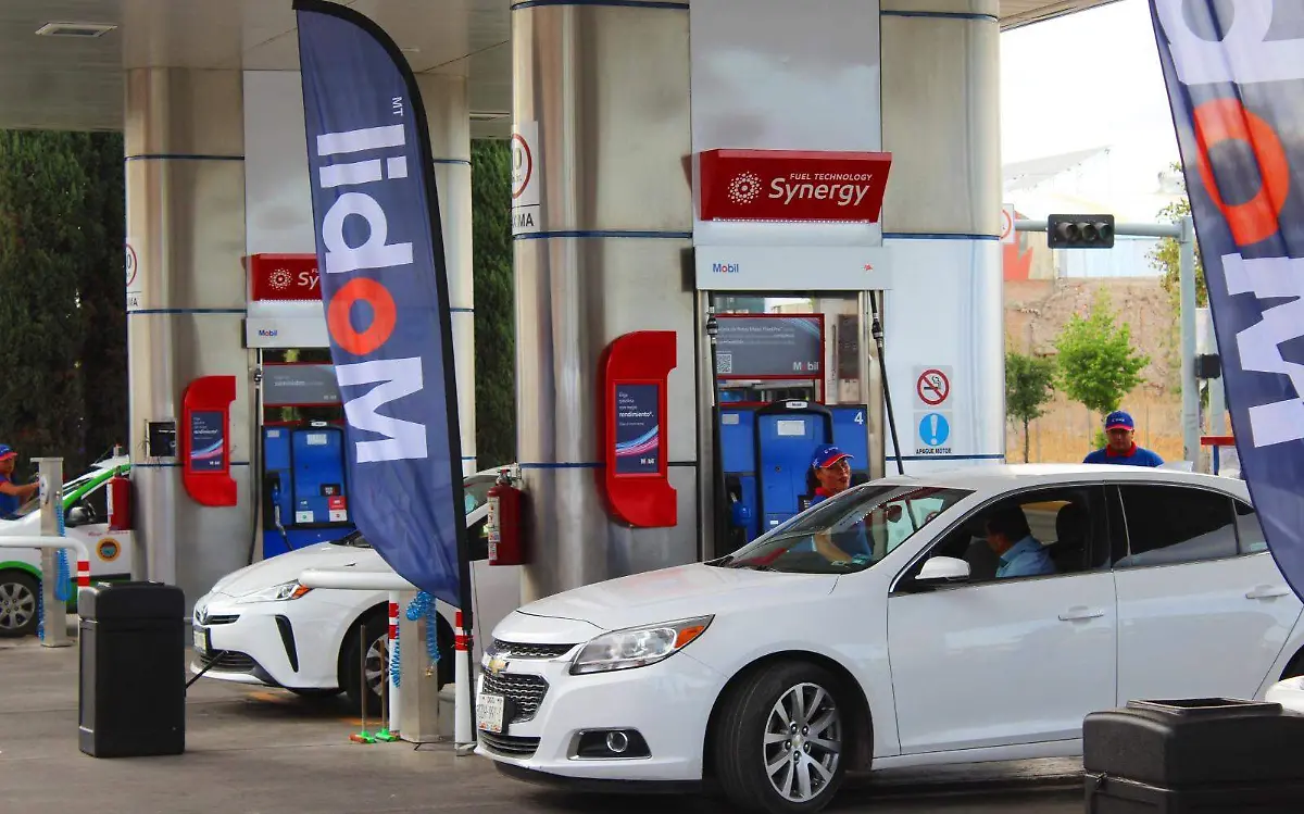 WhatsApp Image 2023-04-22 at 17.05.29 (5)