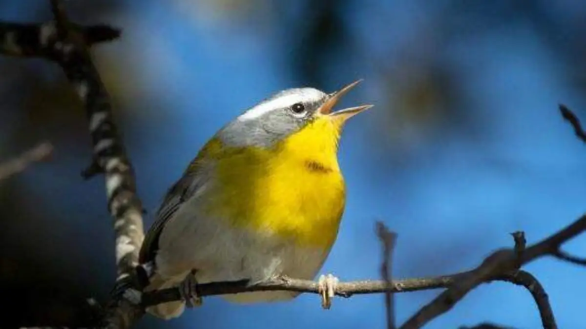 Fotografía profesional 2