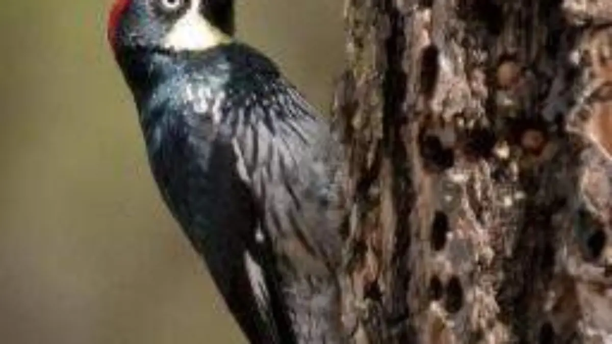 Fotografía profesional 1.