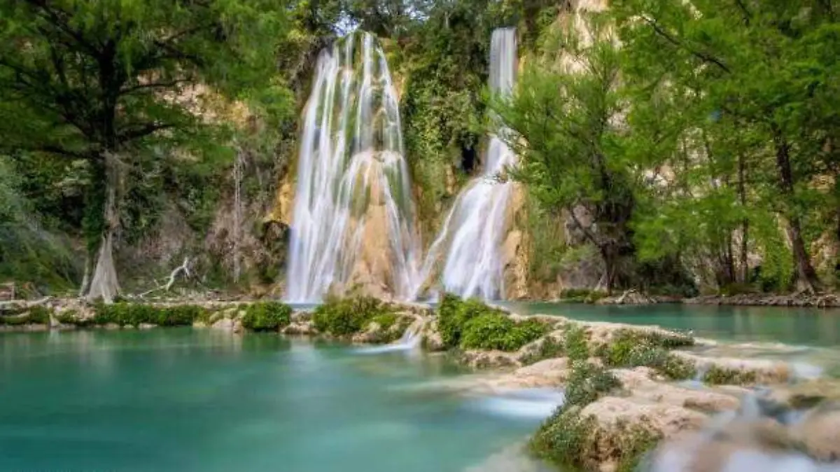 Fotografía profesional 3