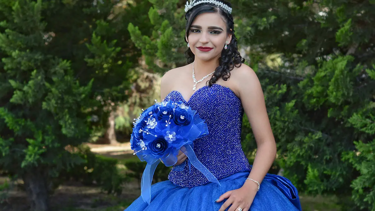 ALONDRA INTERNET