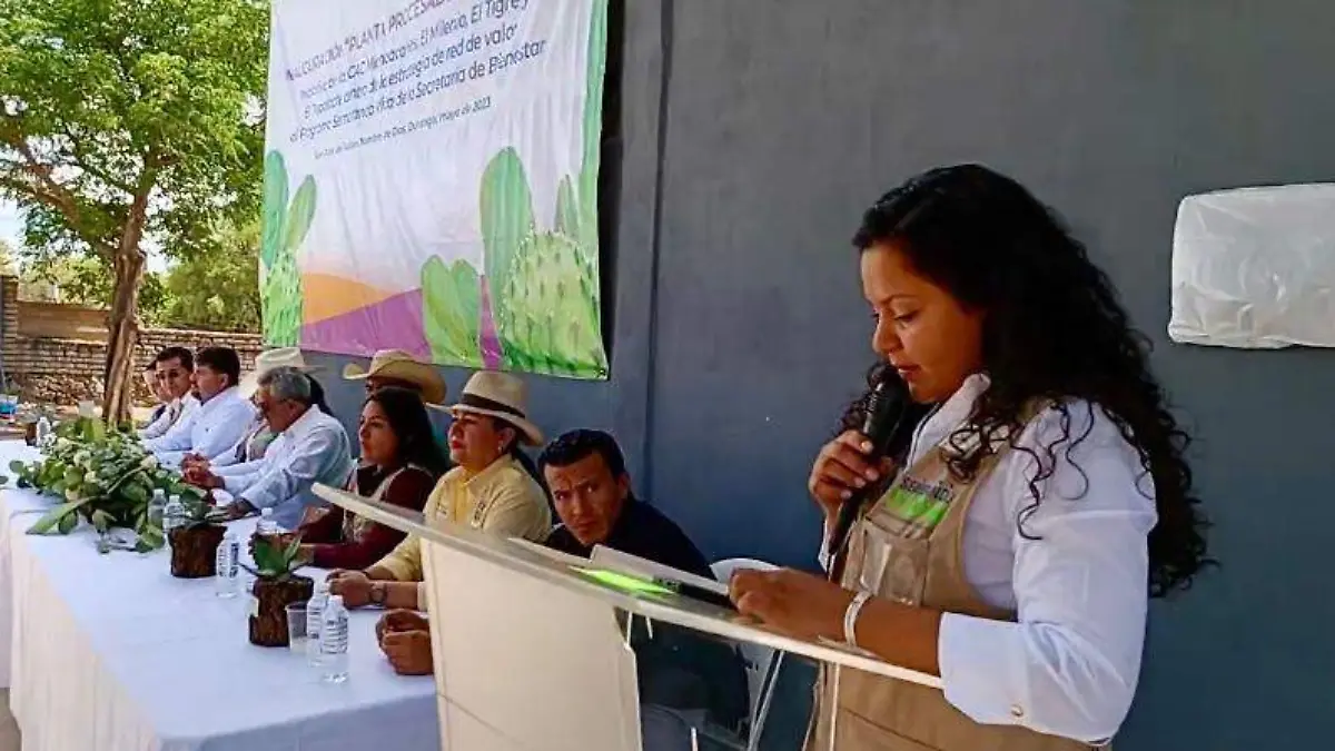 Inauguran la primera planta procesadora de nopal en San José de Tuitán