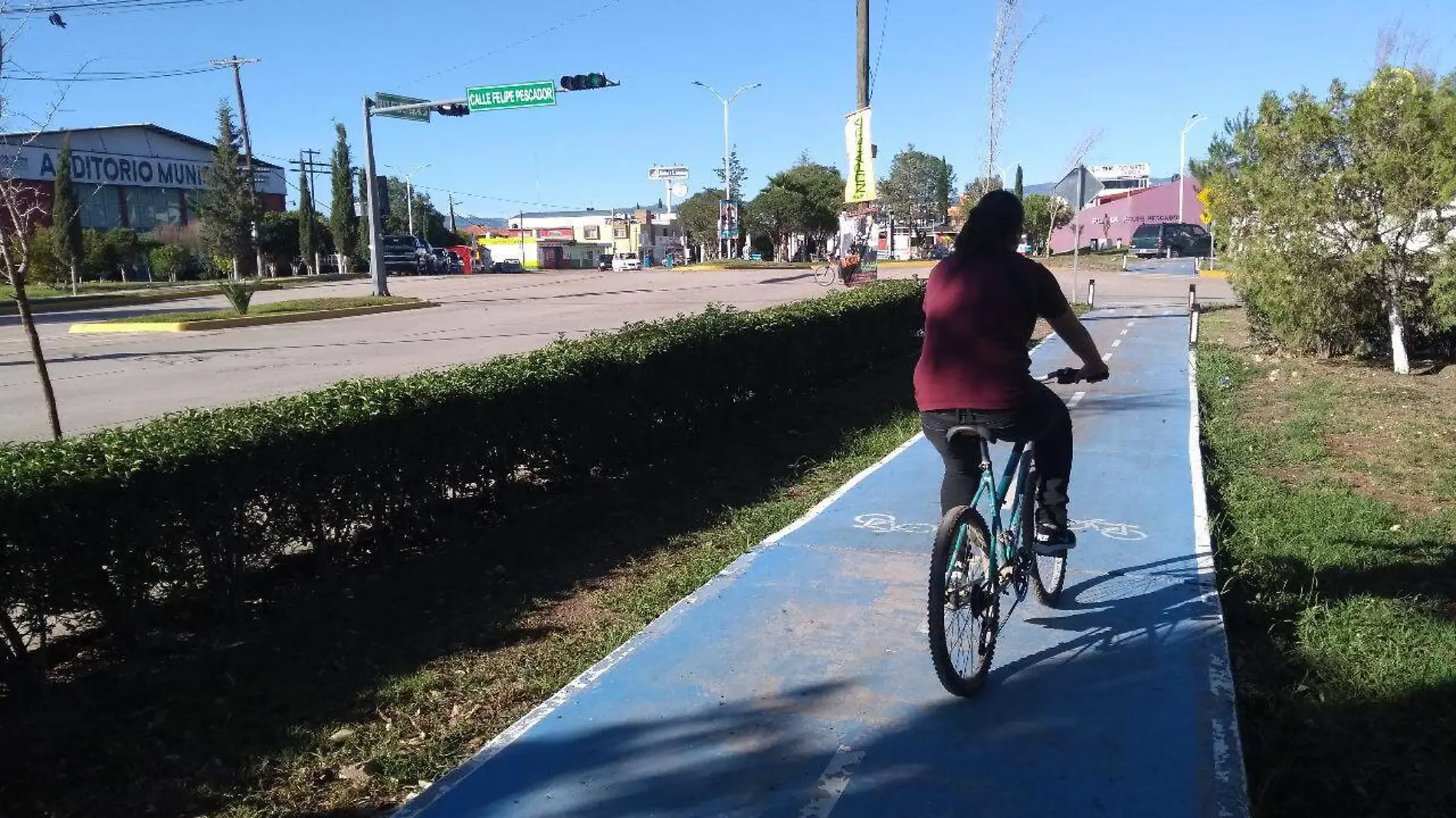 cICLOVIA