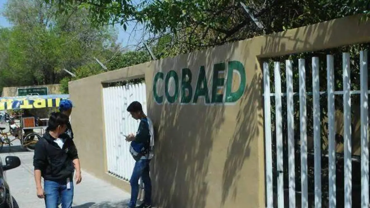 cobaed