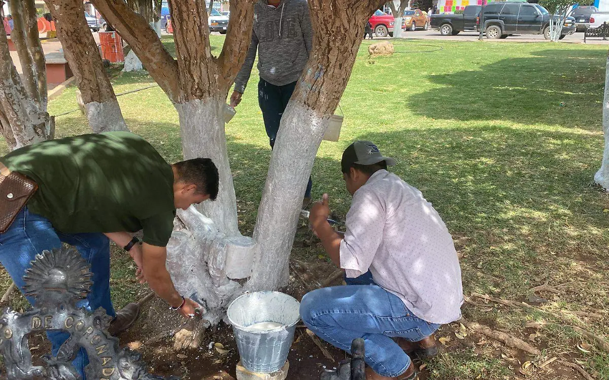 WhatsApp Image 2023-05-26 at 12.00.59 PM