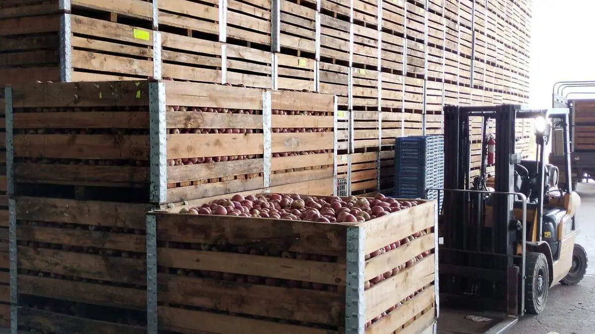 Inicia Integradora de Canatlán programa de refrigeración de manzana 2023