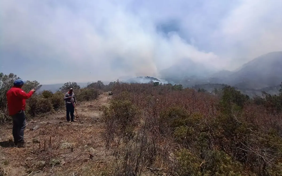 WhatsApp Image 2023-05-12 at 15.37.22