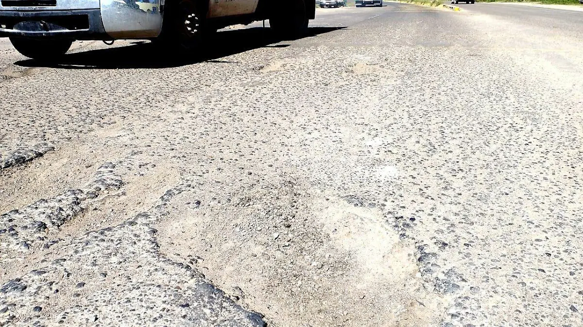 Baches