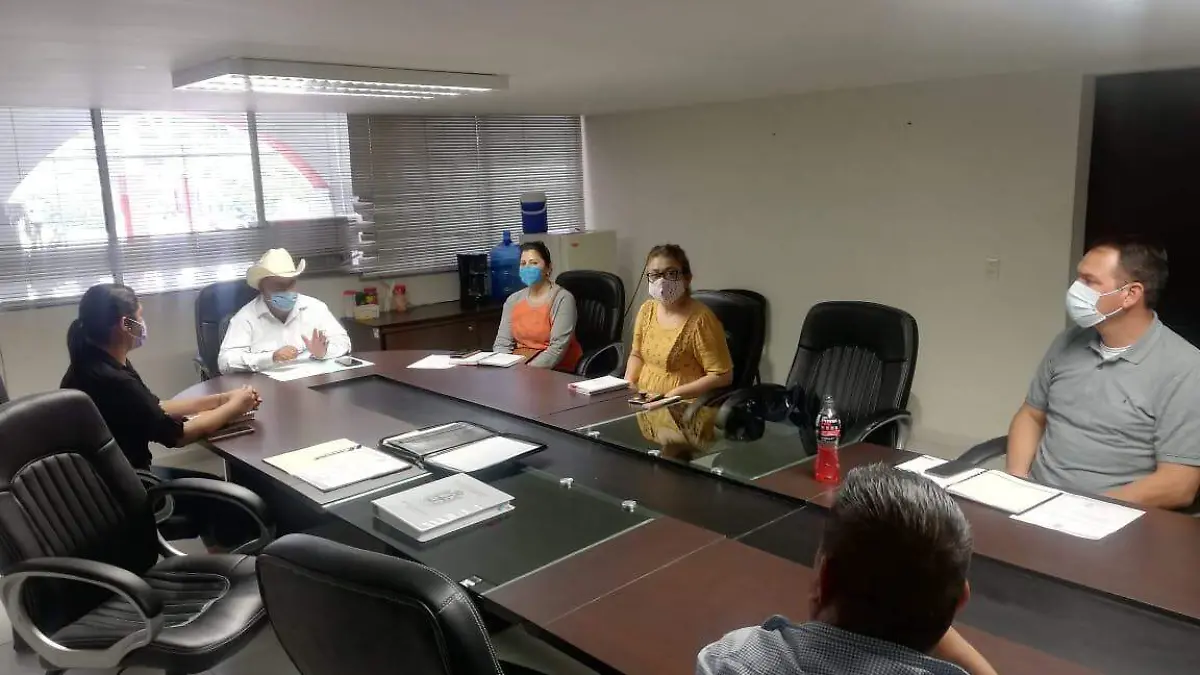 cabildo panuco