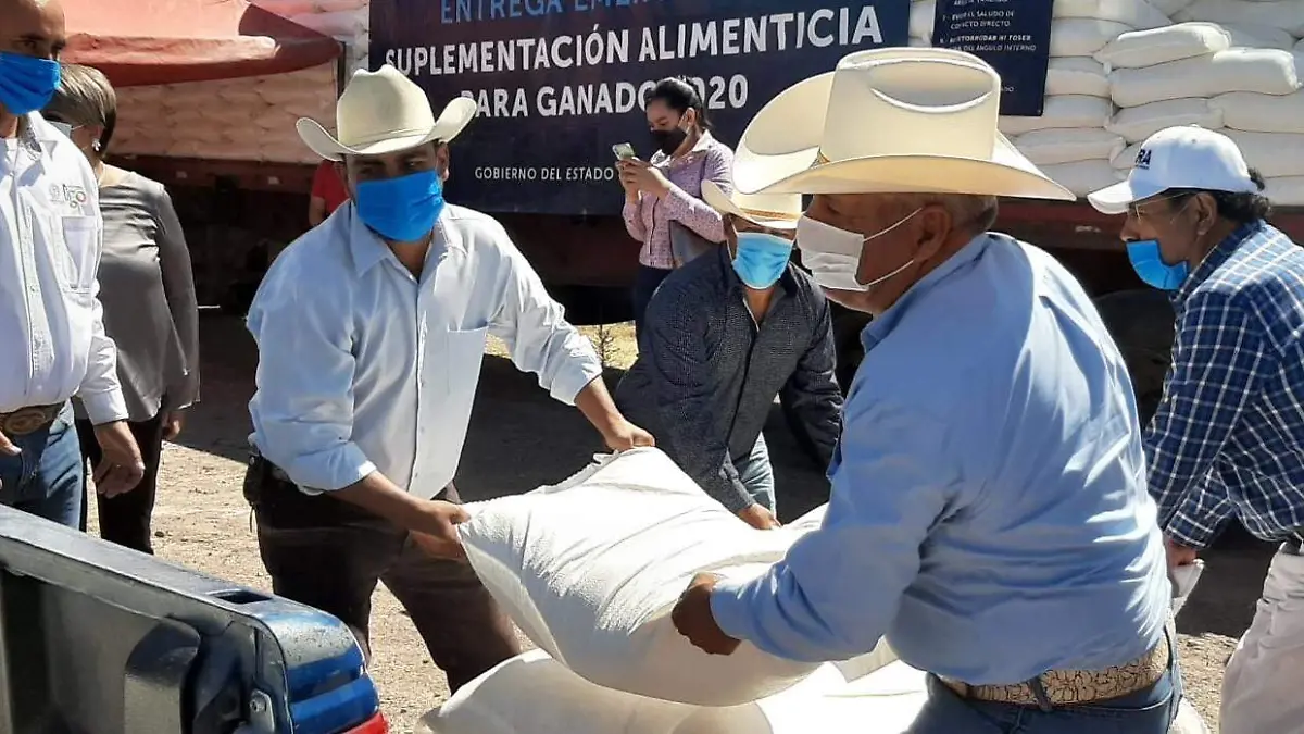 apoyos (6)